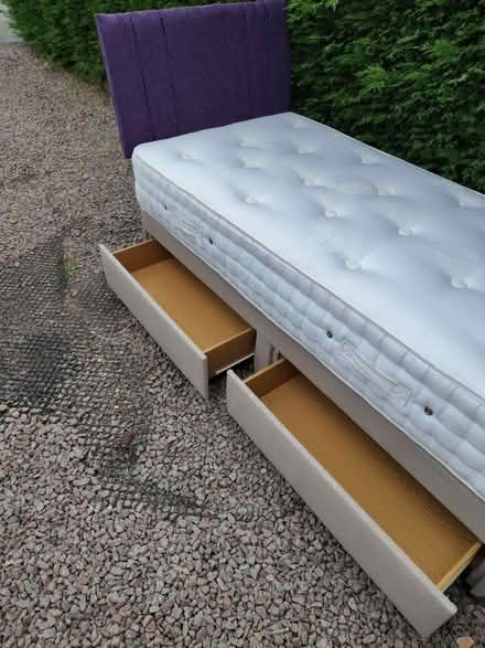 Photo of free Single bed (Quorn) #2