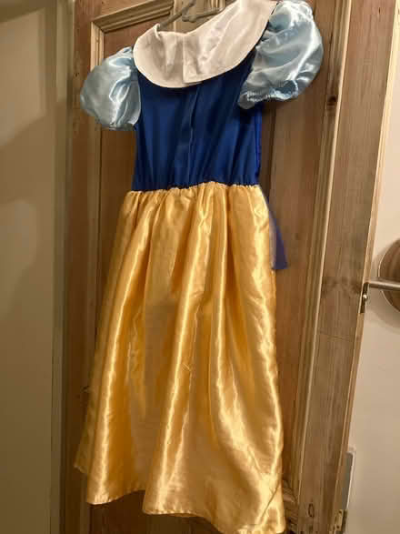 Photo of free Disney Fancy Dress (Frome (Central)) #2