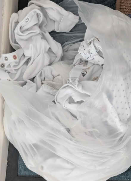 Photo of free 0-3 months onesies (Princes park, BN22) #1