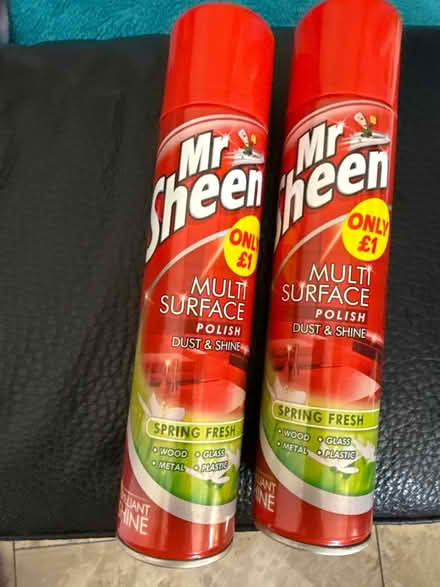 Photo of free Mr Sheen (DE24) #1