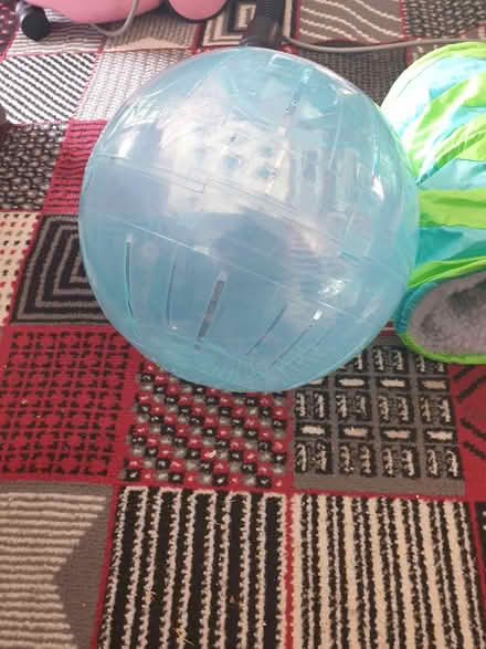 Photo of free Animal stuff (Potters bar herts EN6) #1