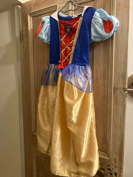 Photo of free Disney Fancy Dress (Frome (Central)) #1