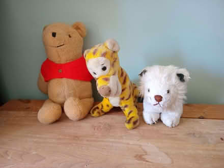 Photo of free 3 soft toys (Eastbourne BN20) #1