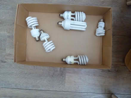 Photo of free Light bolbs (Britannia) #1