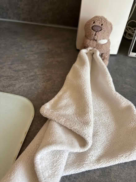 Photo of free Beige baby comforter (Basildon SS16) #1