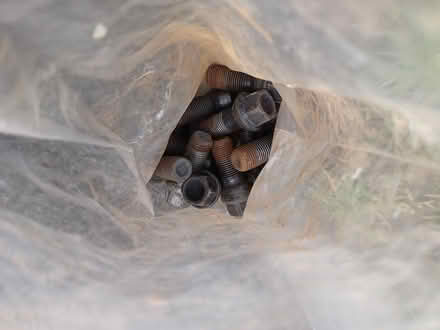 Photo of free Wheel nuts (Aveley RM15) #1
