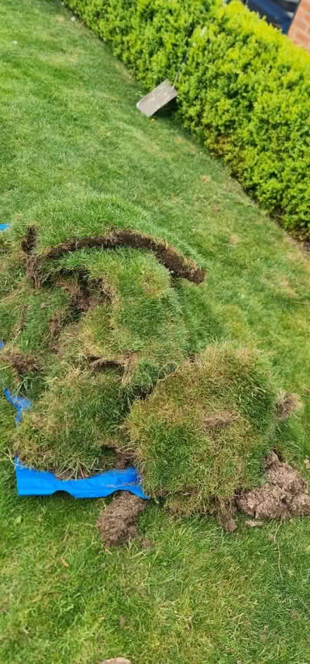 Photo of free Turf (Preston PR5) #2