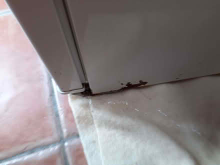 Photo of free Tall fridge (St Buryan TR19) #1