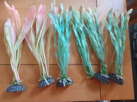 Photo of free Fishtank fake plants (Levenshulme M19) #1