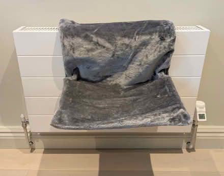 Photo of free Cat radiator bed (Islington N1) #1