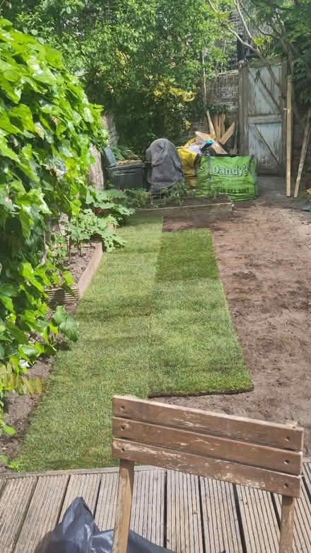 Photo of free Turf - needs laying today (Levenshulme M19) #1