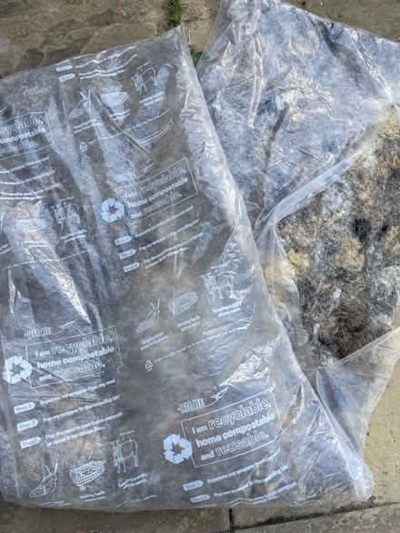 Photo of Wool packing material that comes with frozen (pet) food (Eynsham OX29) #2
