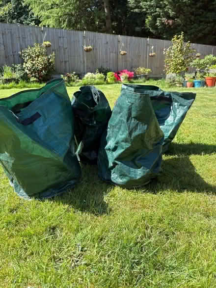 Photo of free 4x potato grow bags (NN3 Meadowfields) #2