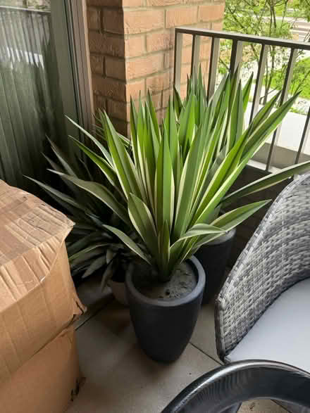 Photo of free fake plants, decoration panel (n80es) #1