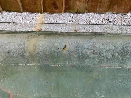 Photo of free Greenhouse glass (Midhurst GU29) #2