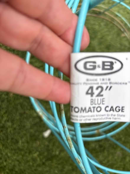 Photo of free Tomato plant Cages (3) (Cambrian areA) #1