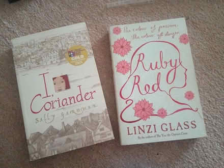 Photo of free X2 YA books (SE12) #1