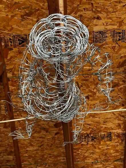 Photo of free Large wire lizard (Alexandria (Groveton), VA) #2
