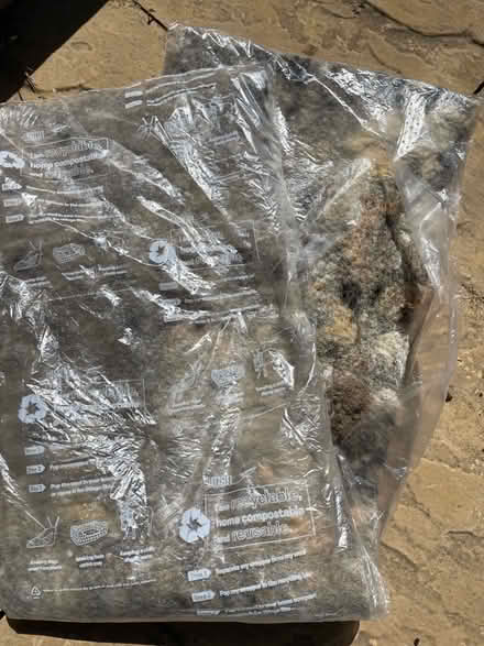 Photo of Wool packing material that comes with frozen (pet) food (Eynsham OX29) #1