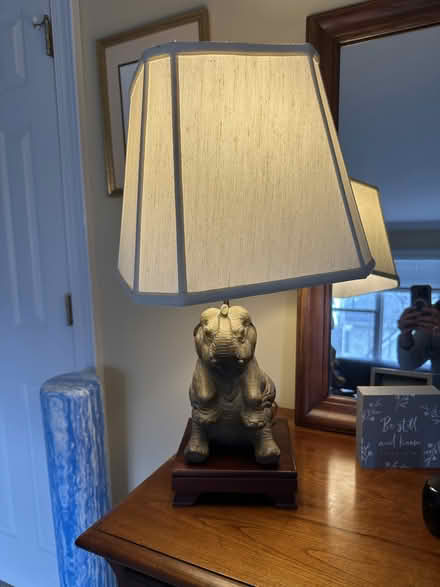Photo of free Elephant lamp and shade (Southpark) #2