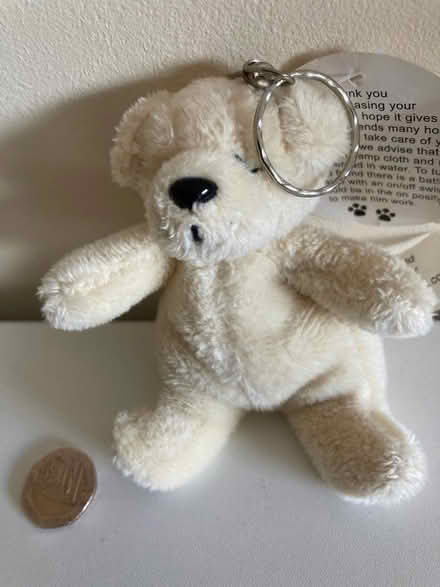 Photo of free Bear key ring (Madeley TF7) #1
