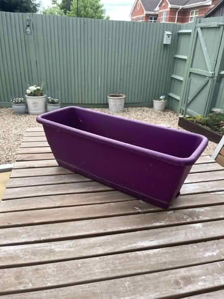 Photo of free 1 x purple plastic plant pot (Katesgrove, Reading, RG2) #1