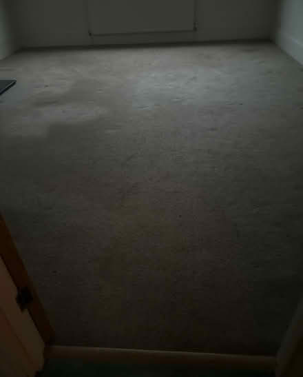 Photo of free Carpet (South Croydon CR2) #1
