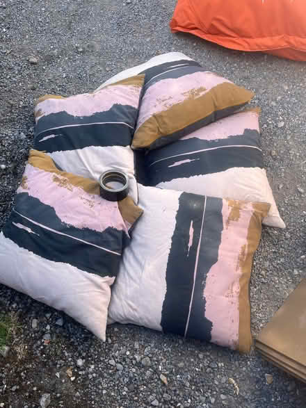 Photo of free Cushions (Farnborough GU14) #1