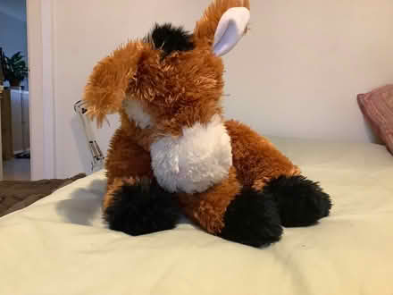 Photo of free Little stuffed donkey (White City W10) #1