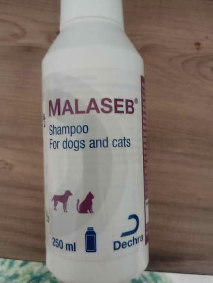 Photo of free Malaseb dog Shampoo (Bathampton) #1