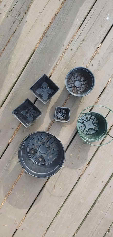 Photo of free 6 plastic pots (Columbia, Clemens Crossing) #2