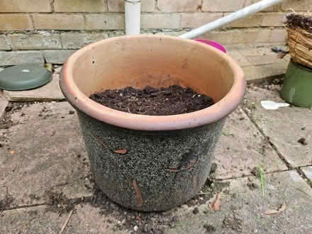 Photo of free Heavy terracotta pot for garden. (Chells SG2) #2