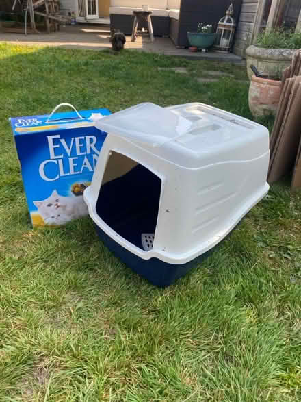 Photo of free Cat tray with lid and litter (GU9) #1
