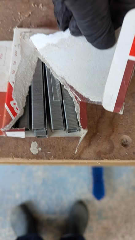 Photo of free Part box staples for staple gun (Timperley) #3