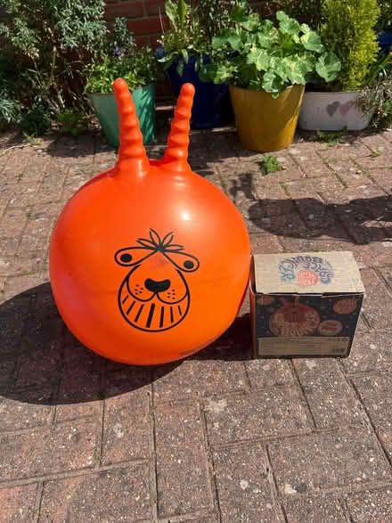 Photo of free Space hopper (Kelvedon CO5) #1