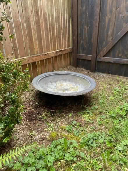 Photo of free fire pit (Northgate/Haller Lake) #1