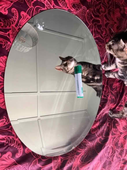 Photo of free Oval mirror (Marino) #1