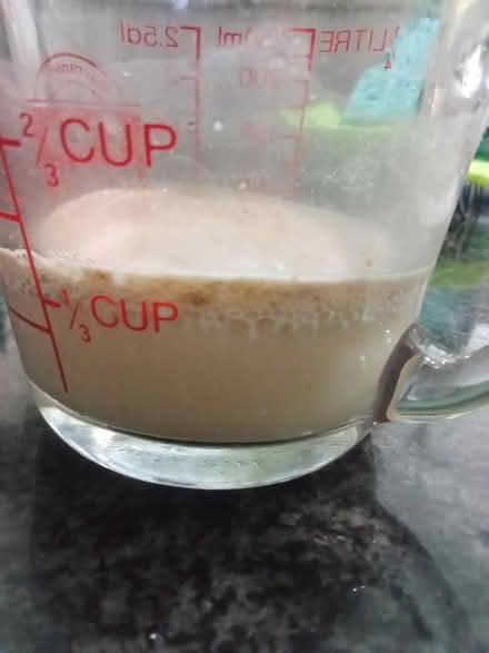 Photo of free 5 yrs old live cell yeast (Winchester) #3