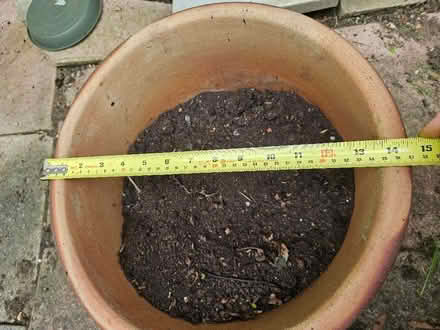 Photo of free Heavy terracotta pot for garden. (Chells SG2) #3