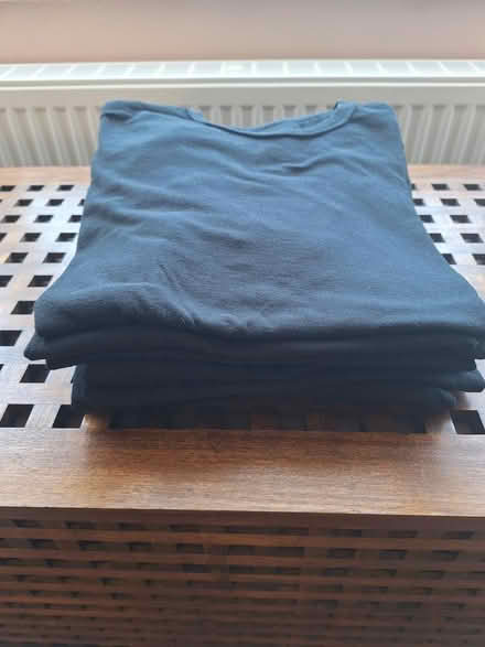 Photo of free Bundle of Old T Shirts (Chelmsford, CM1) #1