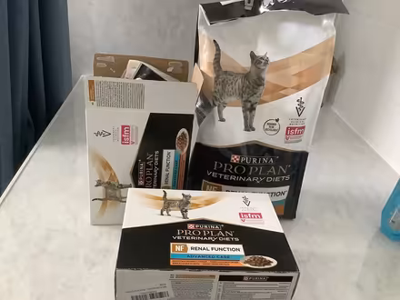 Photo of free Cat bundle (Teignmouth) #2