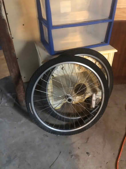 Photo of free 24” womens/girls bike (East Watertown) #2