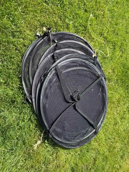 Photo of free flower / seeds dehydrator (NN3 Meadowfields) #1