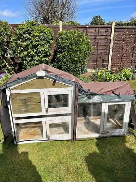 Photo of Rabbit hutch (Churchdown) #1