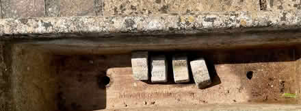 Photo of free Planters (Seaton EX12) #4