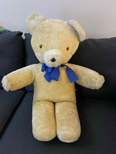 Photo of free big bear (Kenilworth) #1