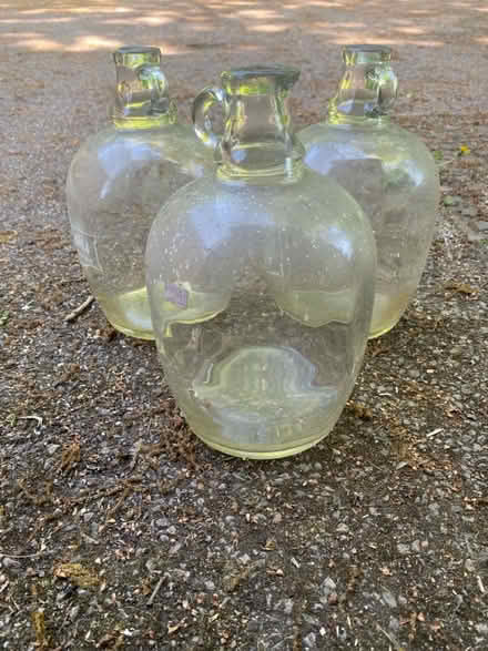 Photo of free Large glass bottles (Croydon) #1
