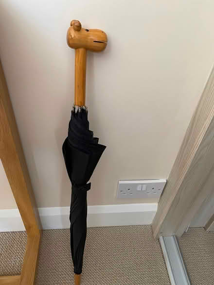 Photo of free Umbrella (IP4) #1