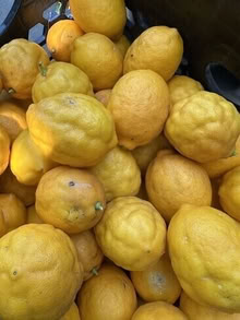 Photo of free Meyer Lemons #2