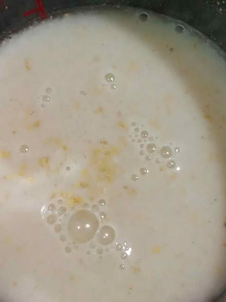 Photo of free 5 yrs old live cell yeast (Winchester) #4
